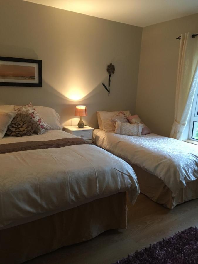 Carrick House B&B キリーベグス エクステリア 写真