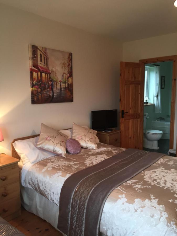 Carrick House B&B キリーベグス エクステリア 写真