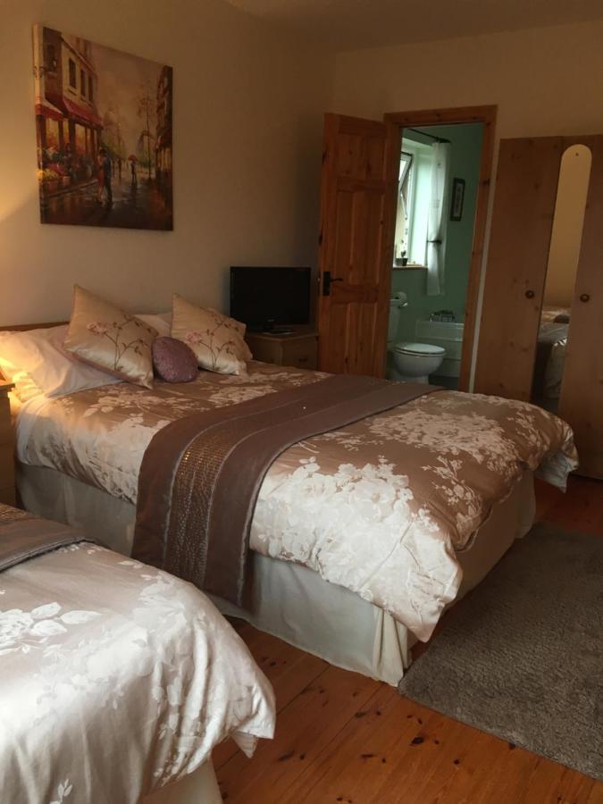 Carrick House B&B キリーベグス エクステリア 写真