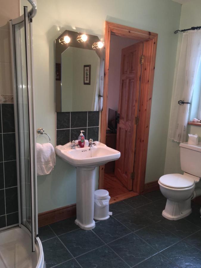 Carrick House B&B キリーベグス エクステリア 写真