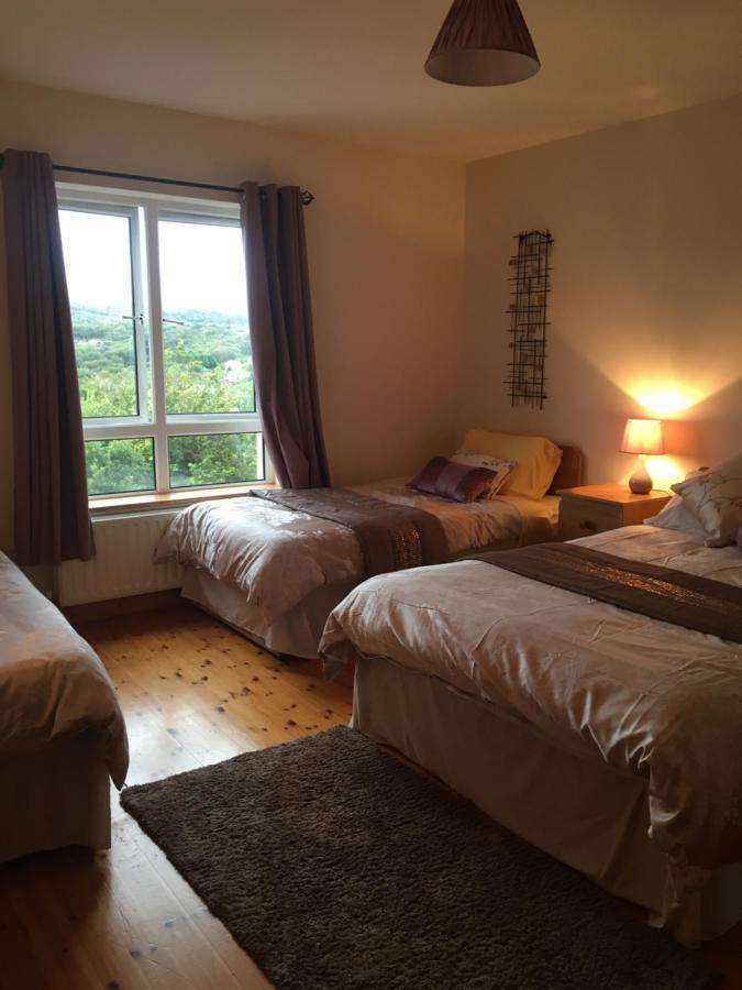 Carrick House B&B キリーベグス エクステリア 写真